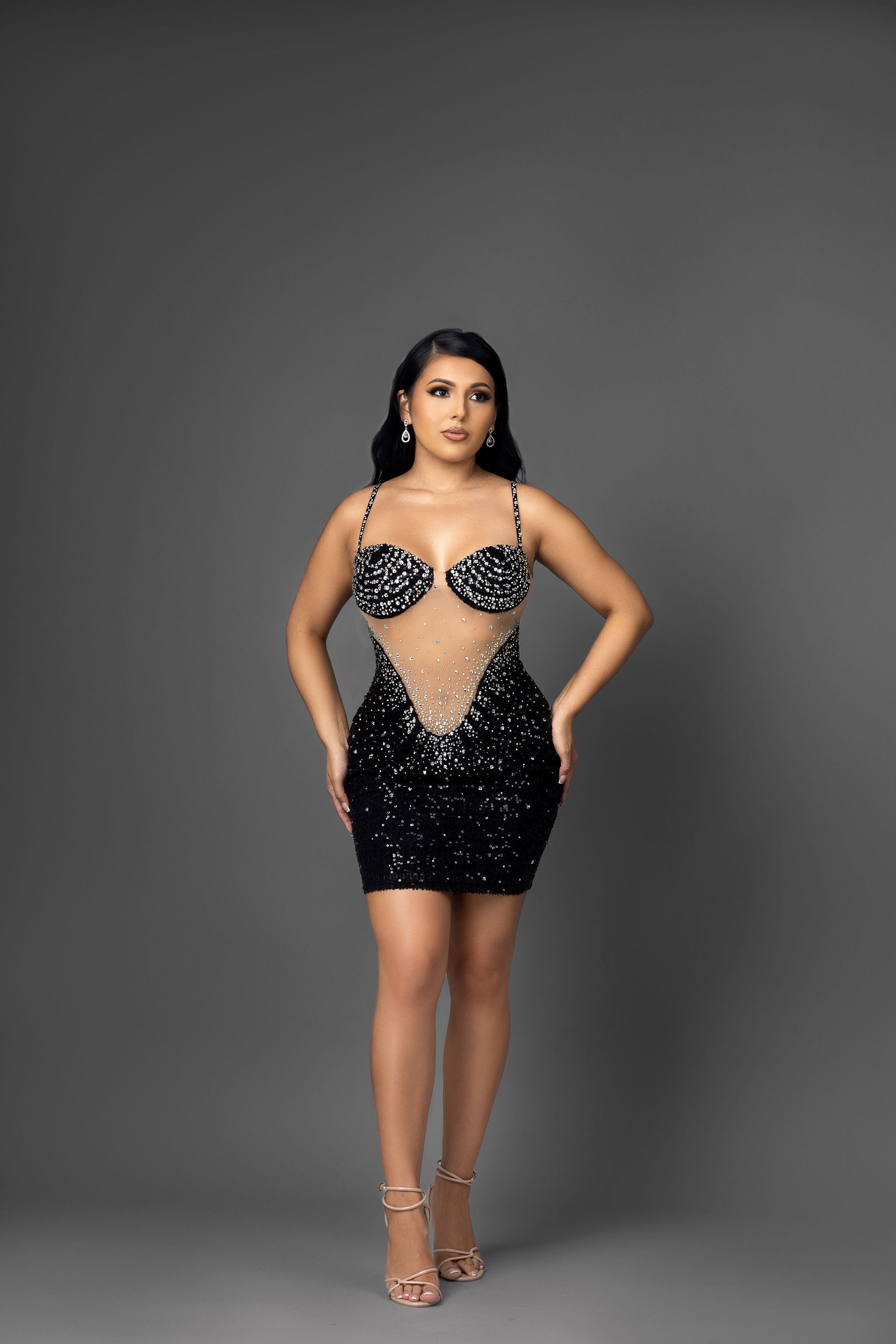 MARIANA SPARKLING MESH DRESS